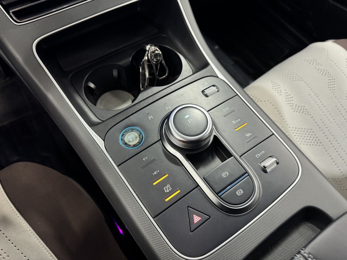 BYD Destroyer 05 2024 imagem de carro #16