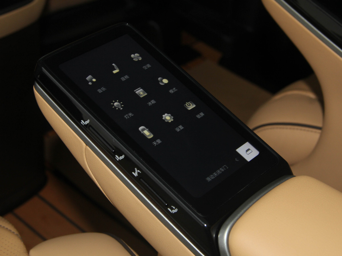 Denza D9 2025 car image #16