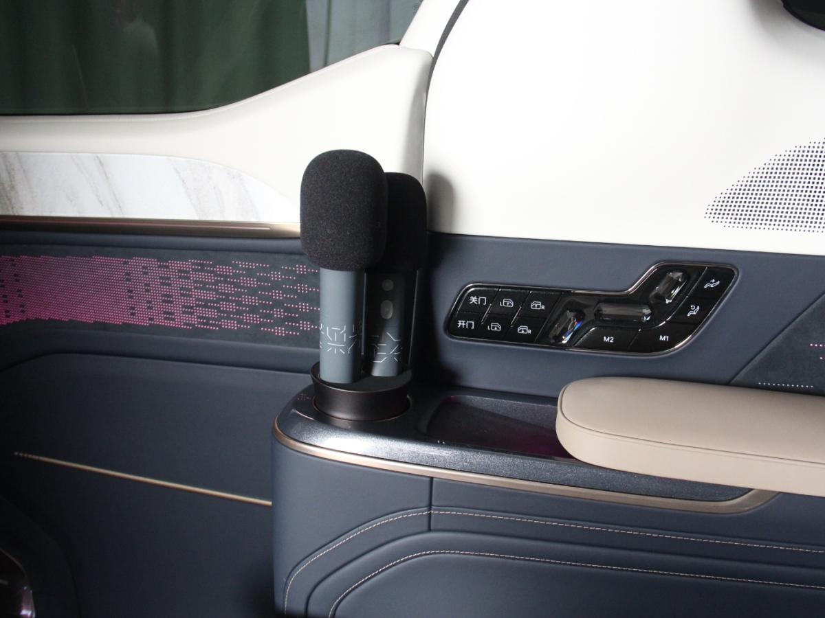 极氪 极氪009 2025 汽车图片 #16