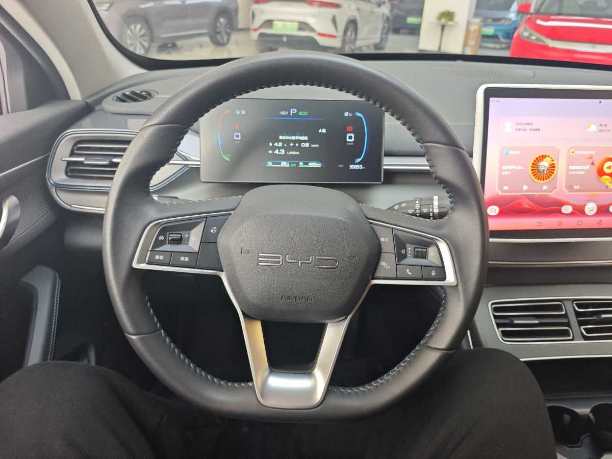 BYD Destroyer 05 2024 imagen de coche #16