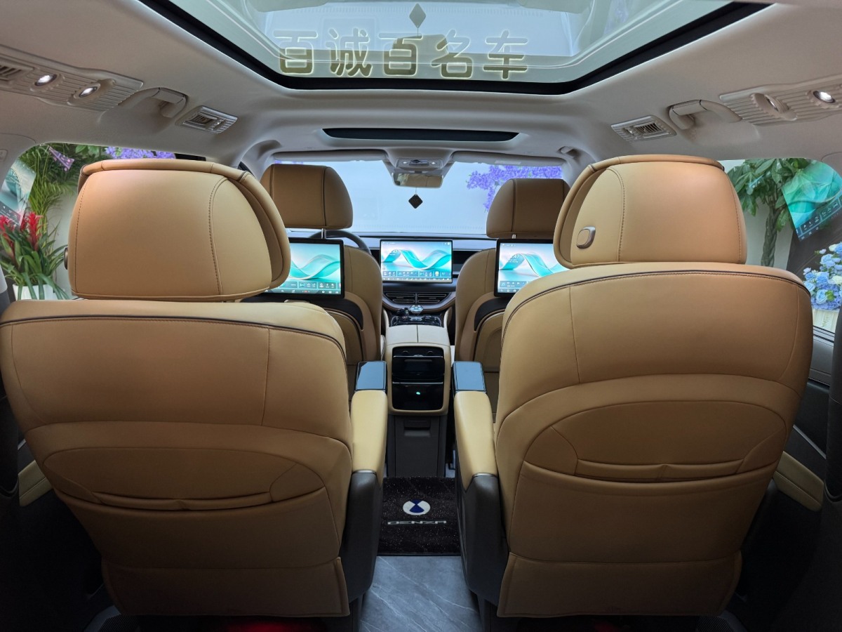 Denza D9 2023 image de voiture #16