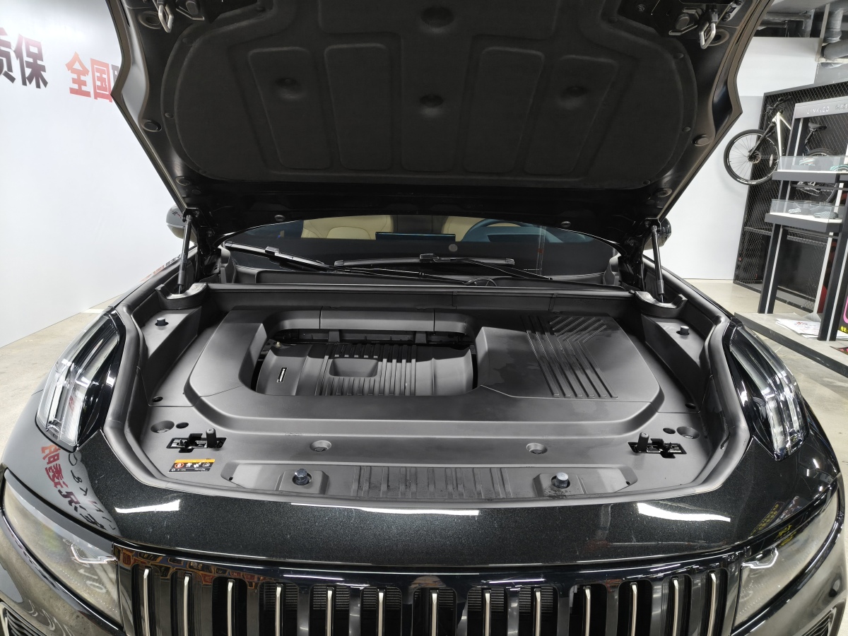 Lynk & Co 09 EM-P 2025 car image #16