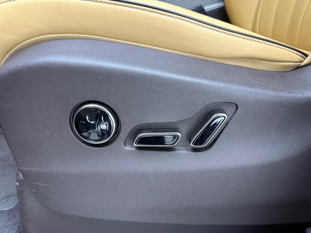 Denza D9 2024 immagine di auto #16