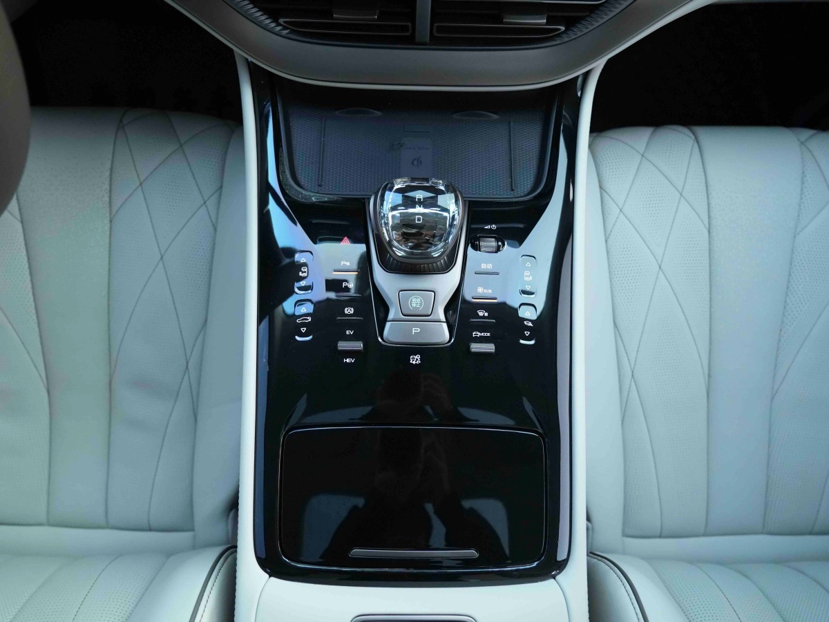 Denza D9 2023 imagem de carro #16