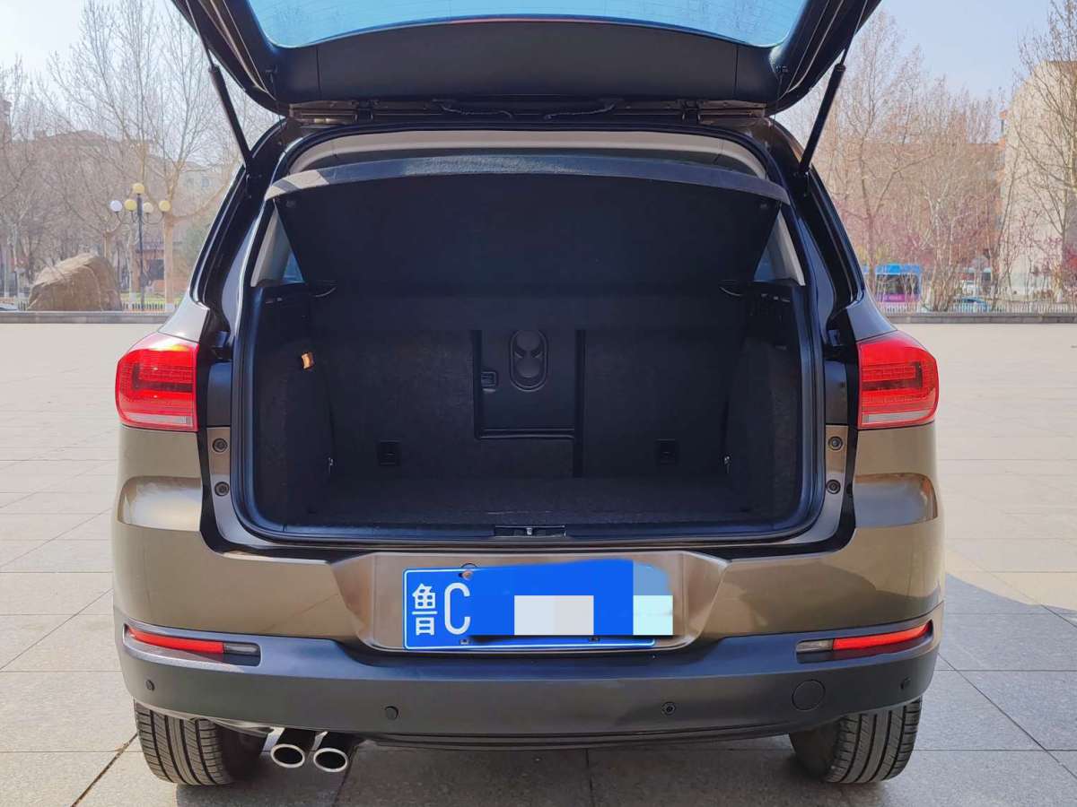 Volkswagen Tiguan 2013 car image #16
