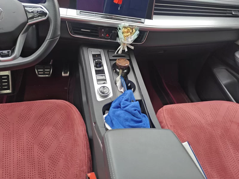 Volkswagen Tavendor 2023 car image #16