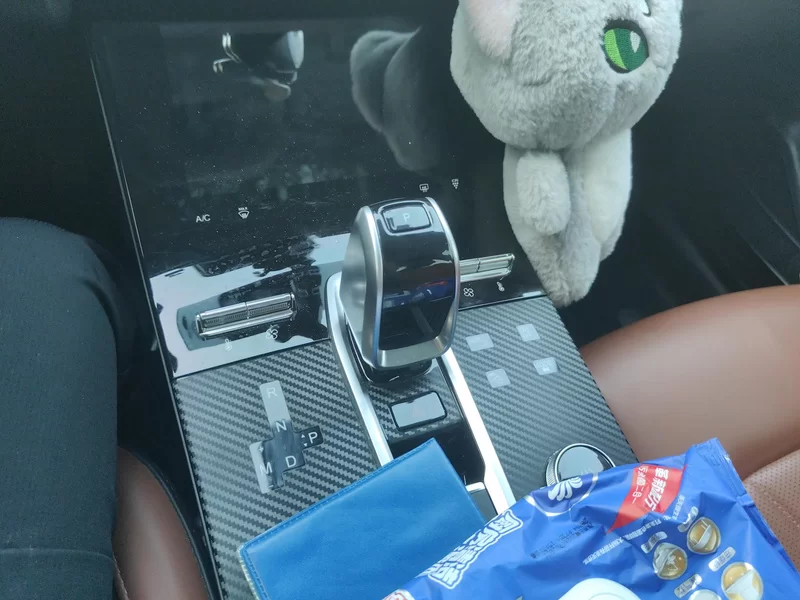 Chery Tiggo 8 Plus e+ 2021 car image #16