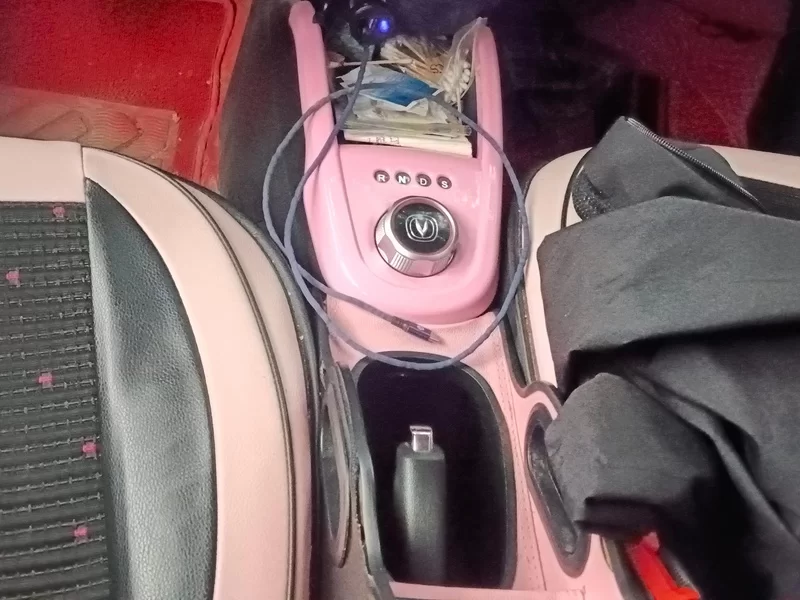 Changan BenBen E-Star 2021 #16 Changan BenBen E-Star 2021 car image #16