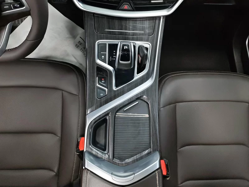 GEELY JiaJi 2020 immagine di auto #16