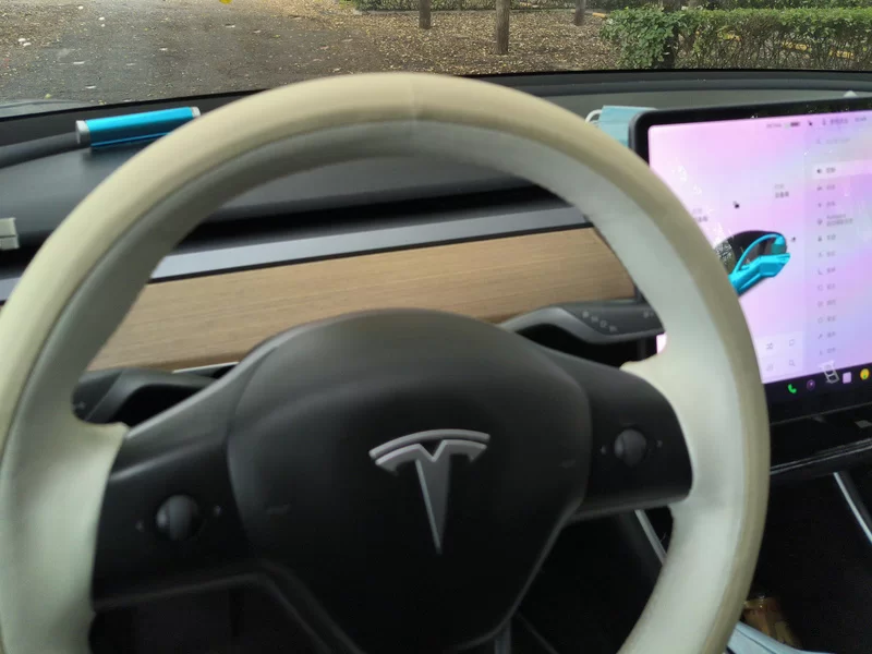 特斯拉 Model 3(进口) 2019 汽车图片 #16