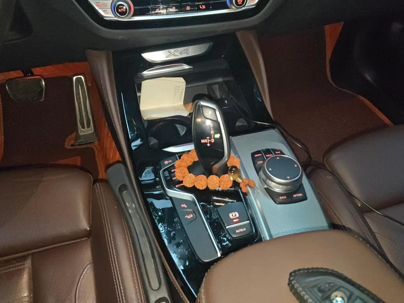 BMW X4 M40i 2020 #16 BMW X4 M40i 2020 immagine di auto #16