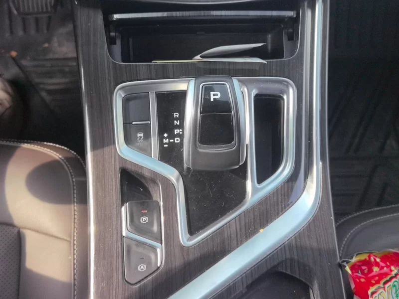 GEELY JiaJi 2020 immagine di auto #16