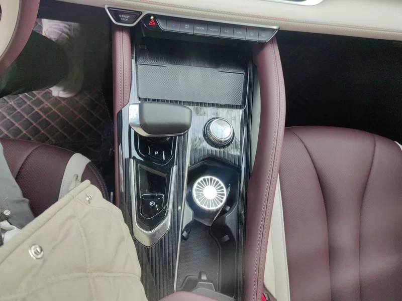 GEELY Tugella 2024 car image #16