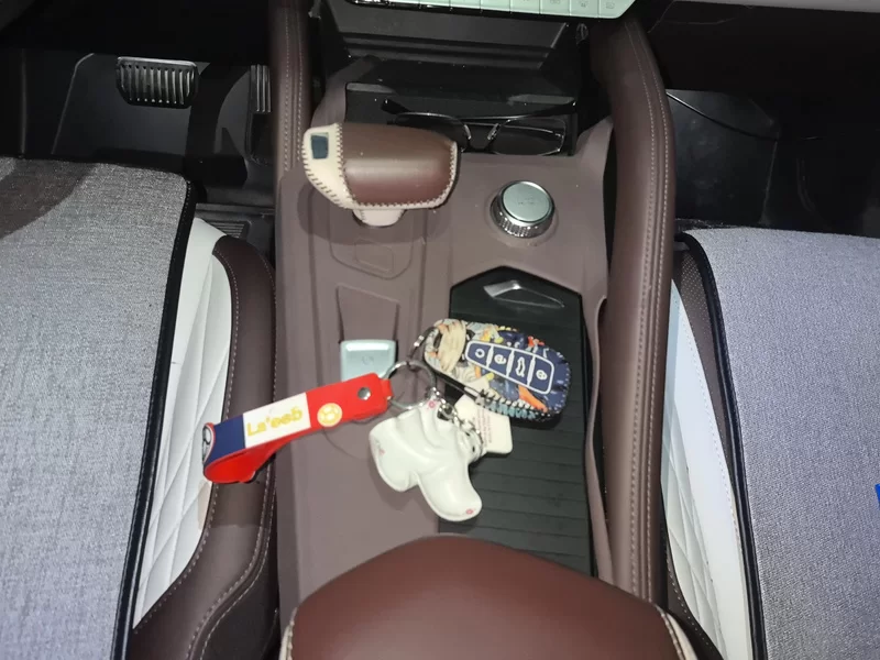 GEELY Tugella 2021 #16 GEELY Tugella 2021 car image #16