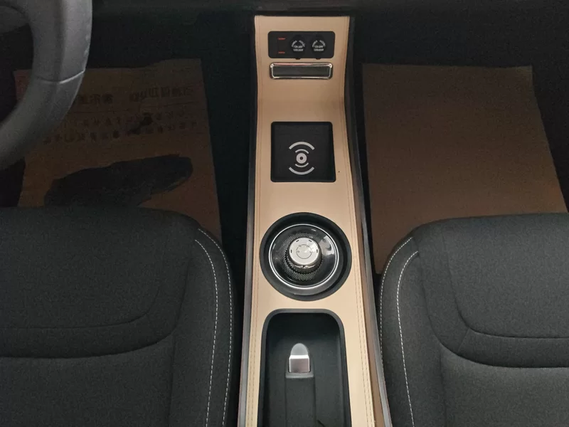 五菱汽车 五菱缤果 2024 汽车图片 #16