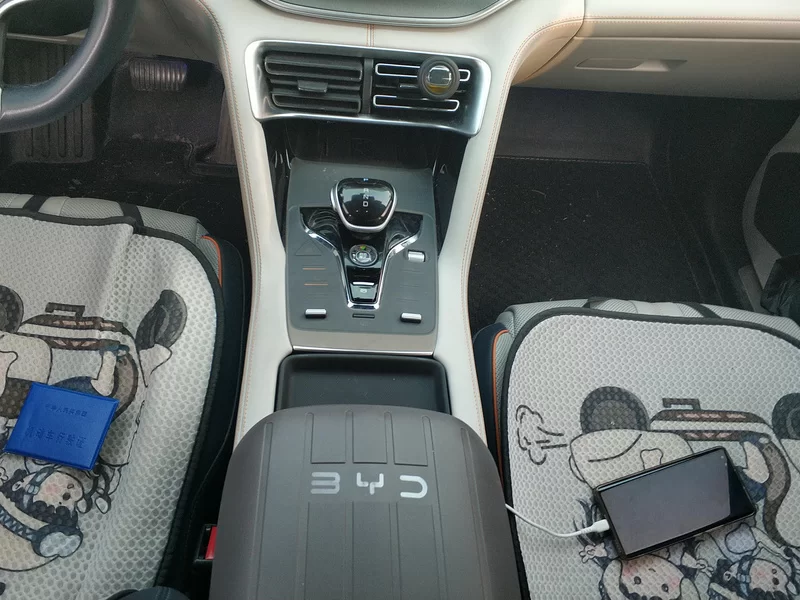 BYD 2022 #16 BYD 2022 immagine di auto #16