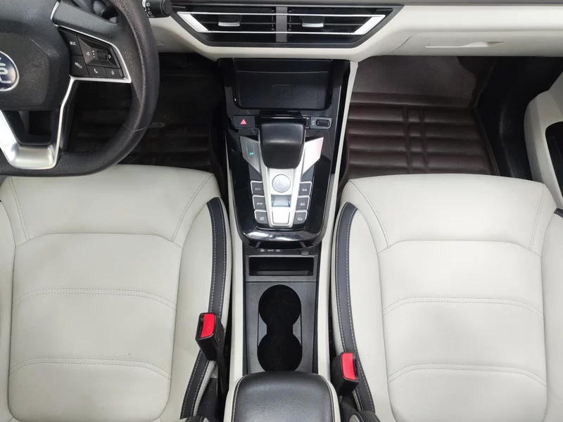 BYD Yuan Pro 2021 car image #16