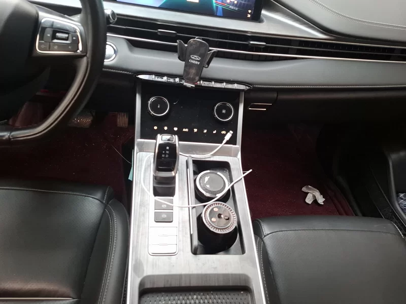 Chery Tiggo 7 Plus 2021 car image #16