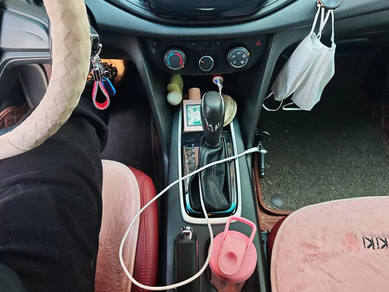 Chevrolet Cavalier 2017 car image #16