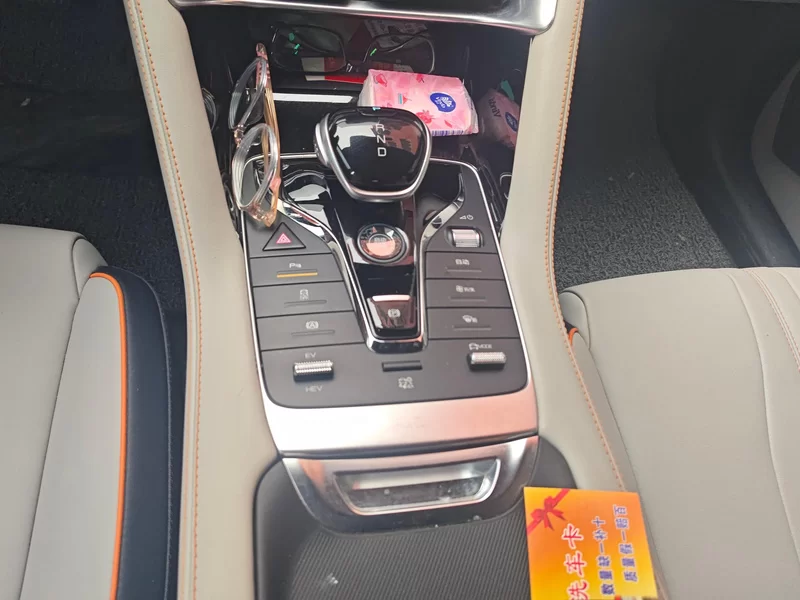 BYD Song Plus New Energy 2022 car image #16