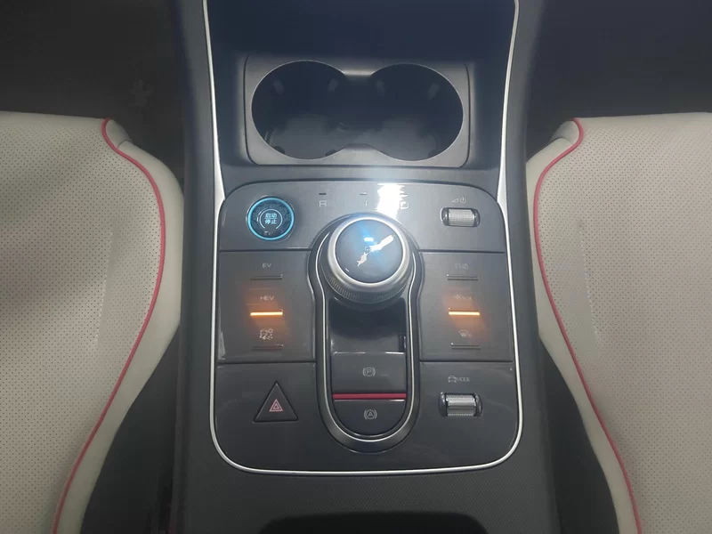 BYD Destroyer 05 2023 car image #16