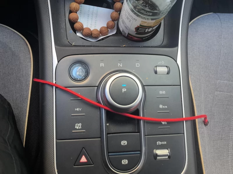 BYD Destroyer 05 2024 imagen de coche #16