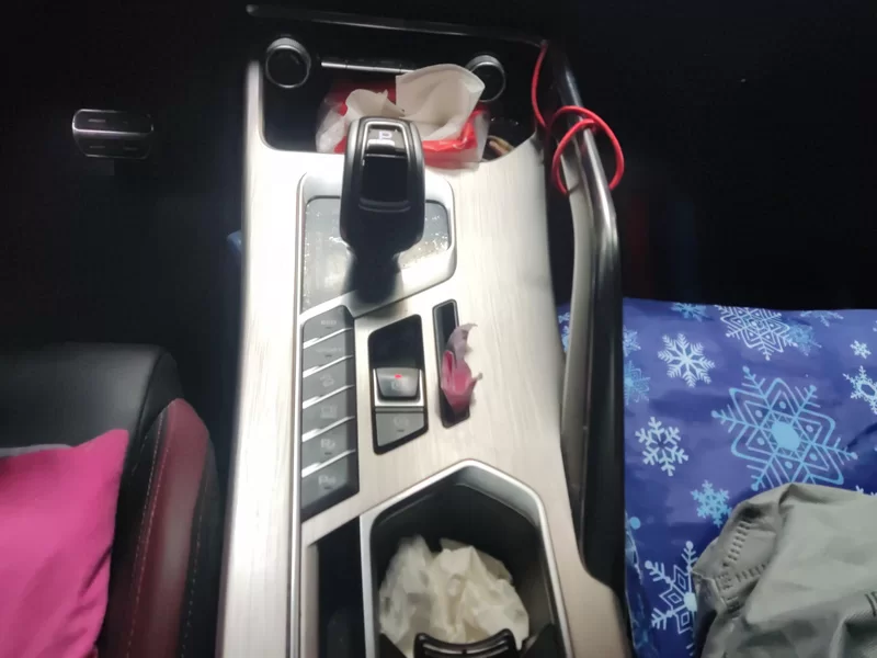 GEELY Coolray 2018 car image #16