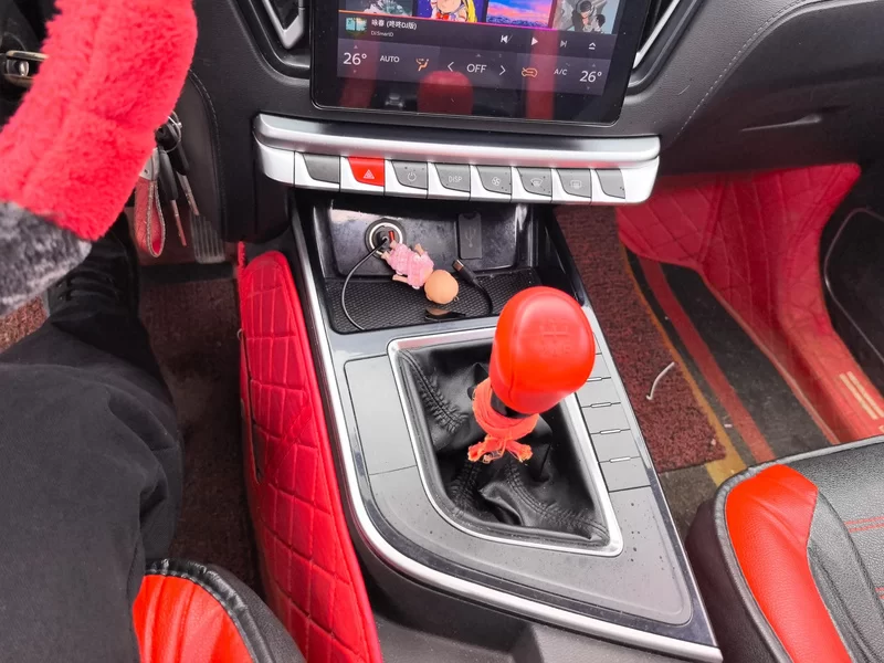 Forthing T5 2020 car image #16