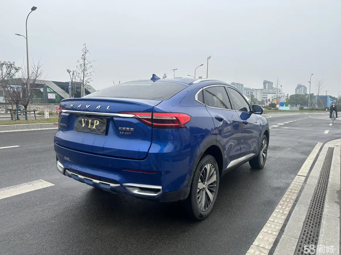 Haval F7x 2019 immagine di auto #16