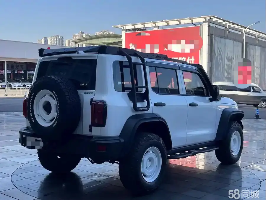 Tank 300 2024 immagine di auto #16