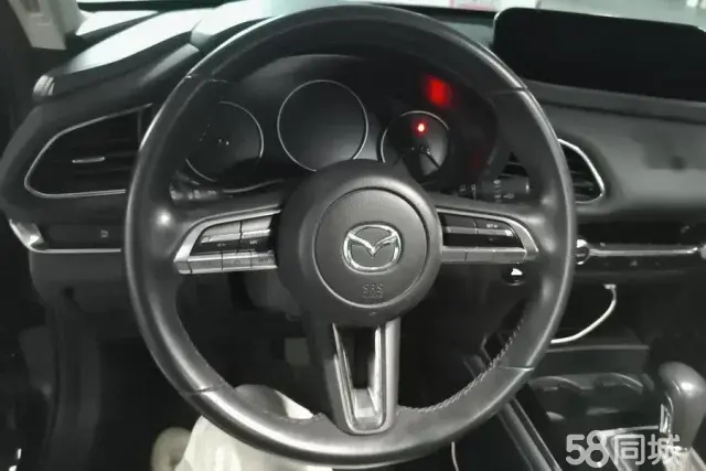 Mazda CX-30 EV 2020 imagen de coche #16