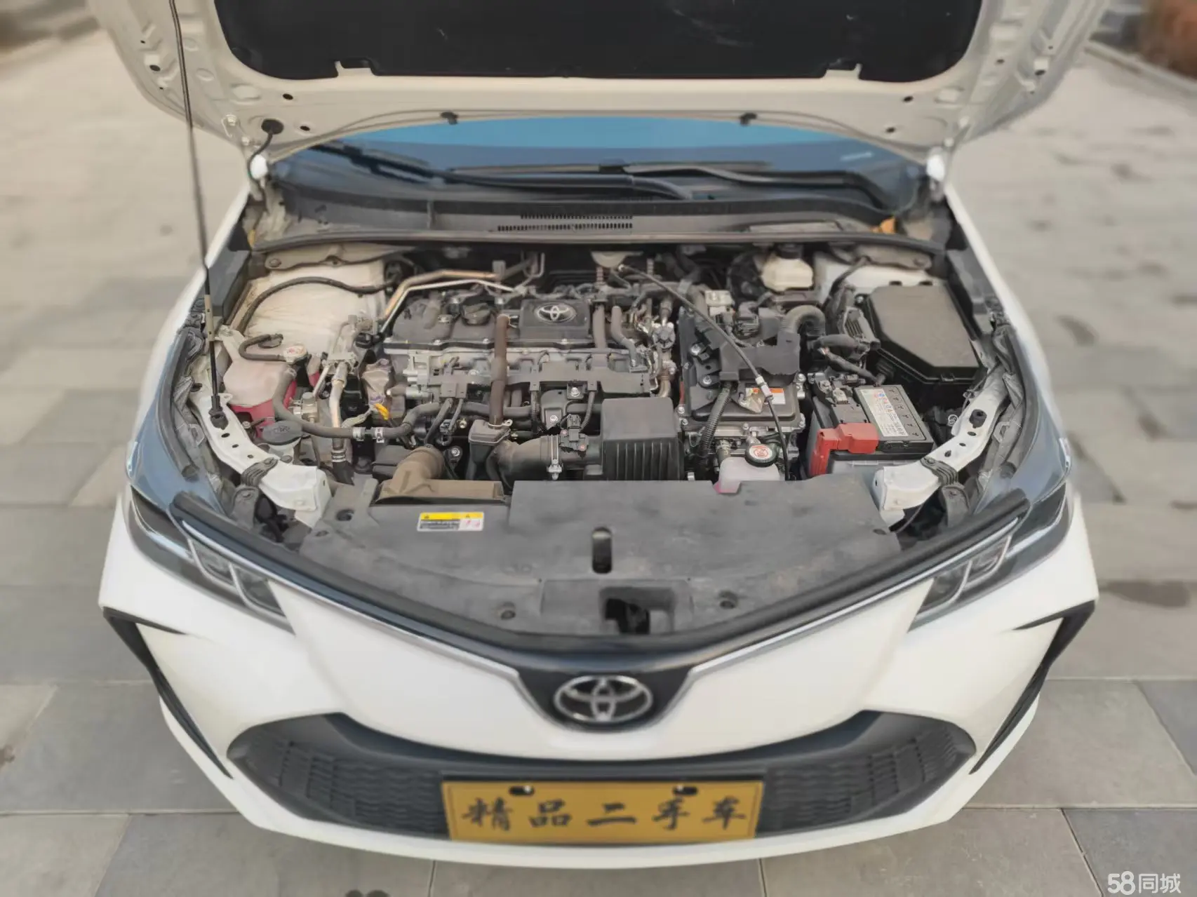 Toyota Corolla 2025 #16 Toyota Corolla 2025 car image #16
