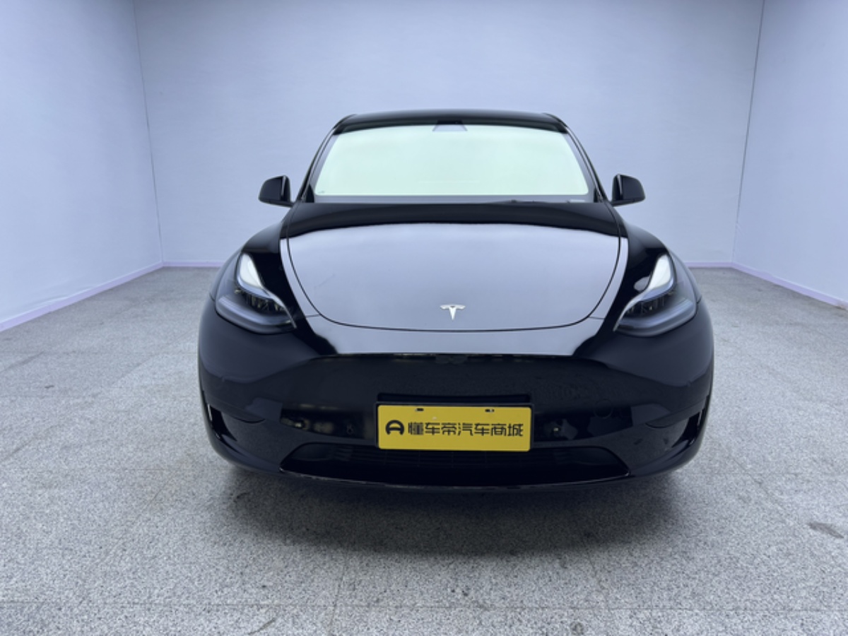 Tesla Model Y 2023 car image #2