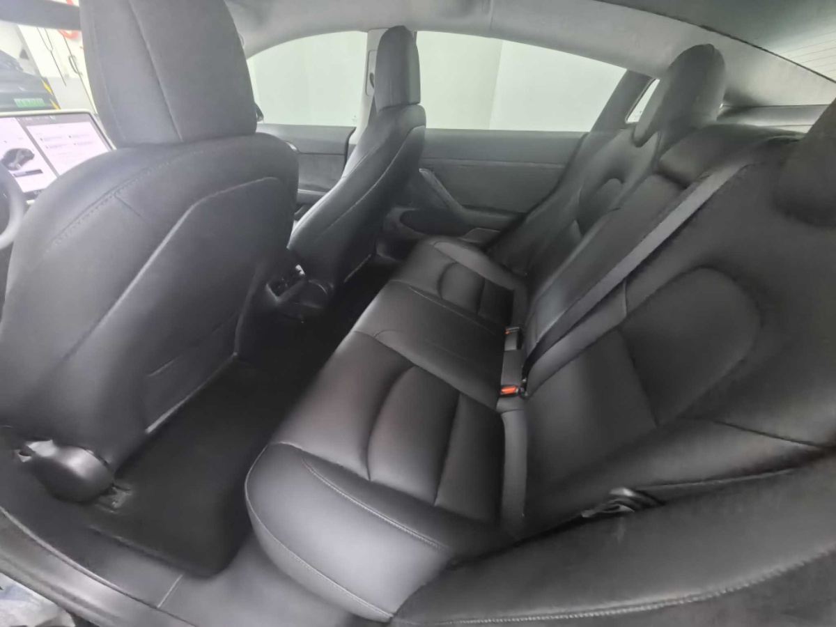 Tesla Model 3 2021 #4 Tesla Model 3 2021 car image #4