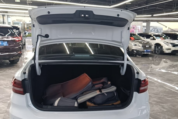 Volkswagen Lavida 2022 car image #19
