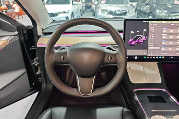 Tesla Model 3 2021 #11 Tesla Model 3 2021 car image #11