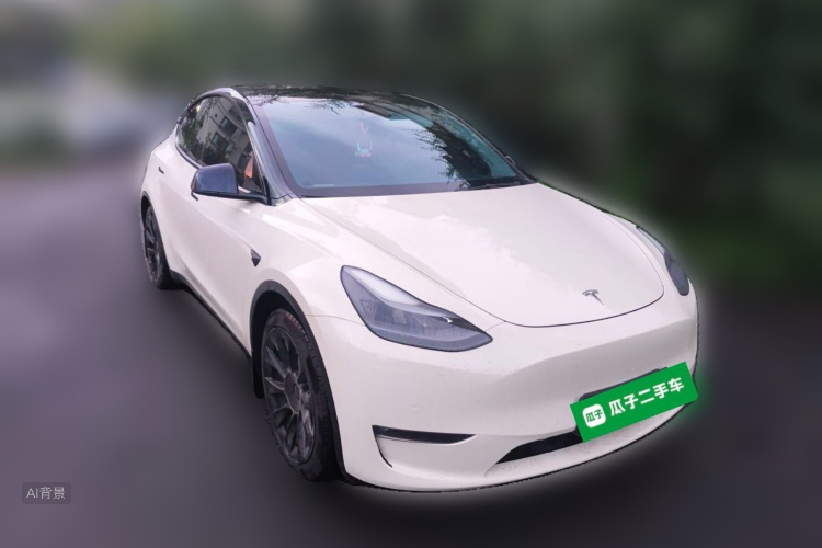 Tesla Model Y 2021 car image #4