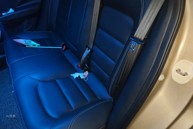 GEELY Emgrand GS 2017 #19 GEELY Emgrand GS 2017 immagine di auto #19