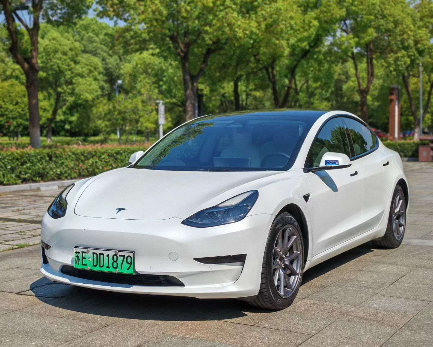 Tesla Model 3 2021 Tesla Model 3 2021 car image