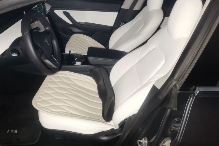 Tesla Model 3 2020 car image #17