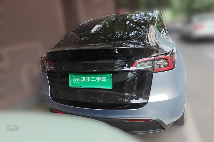 Tesla Model Y 2024 car image #6
