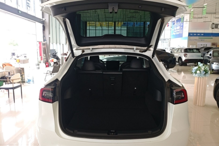 Tesla Model Y 2022 car image #21