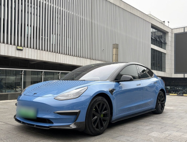 Tesla Model 3 2023 Tesla Model 3 2023 car image