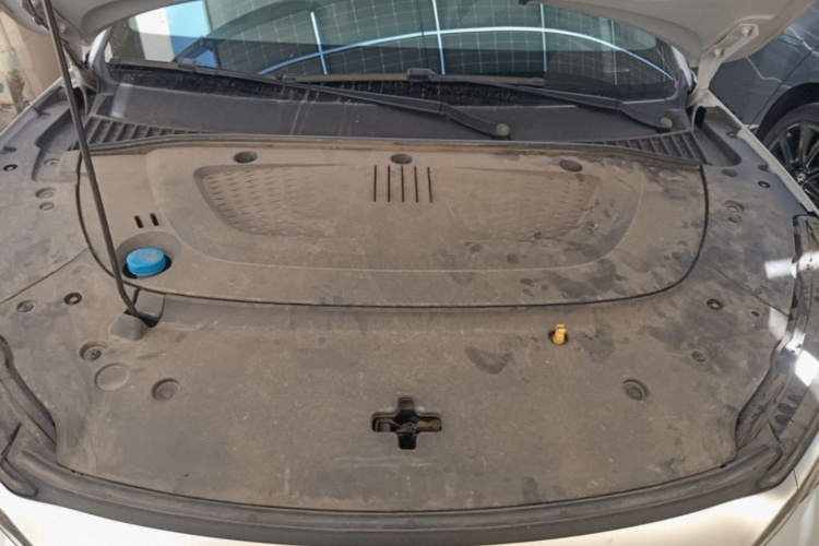 BYD Yuan Plus 2024 car image #20