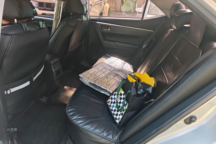 Toyota Corolla 2019 car image #19
