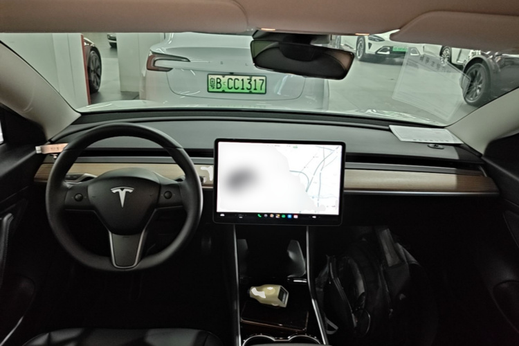 Tesla Model 3 2020 car image #10