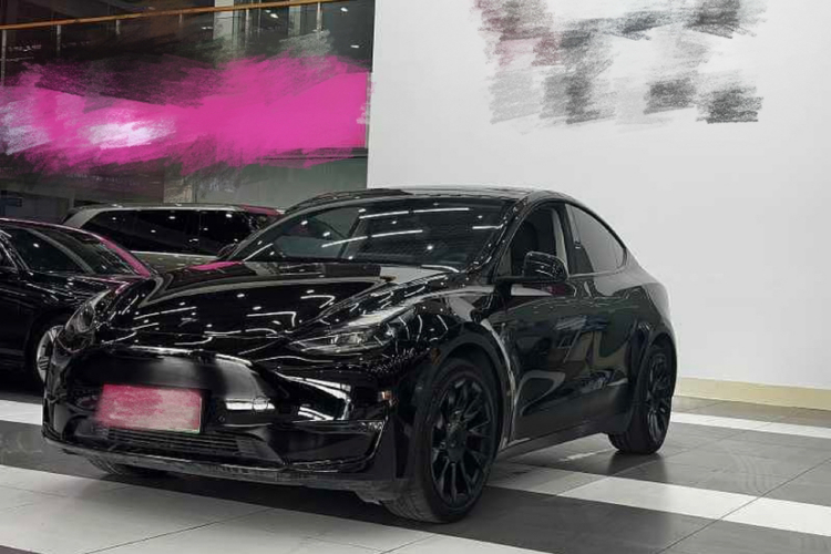 Tesla Model Y 2021 car image #2