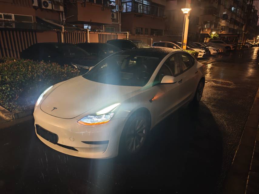 Tesla Model 3 2021 immagine di auto #4
