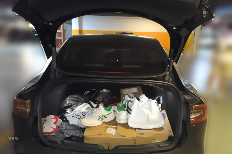Tesla Model 3 2022 car image #21