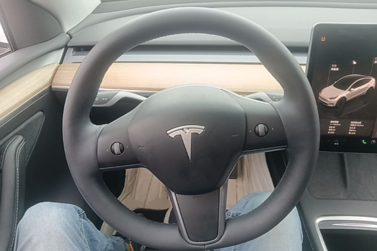 Tesla Model Y 2023 car image #11